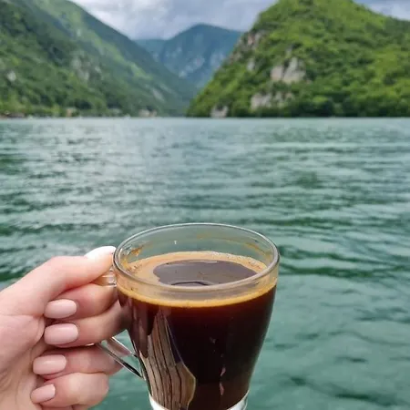 Splav Wake At The Apartman