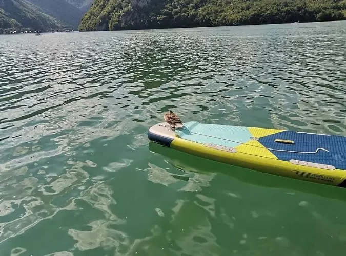 Splav Wake At The 아파트