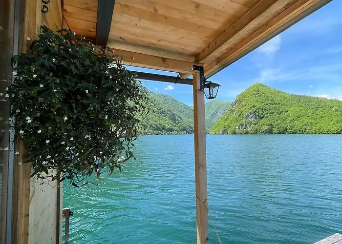 Splav Wake At The 아파트 *